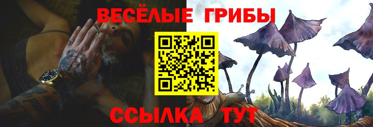 Галлюциногенные грибы мухоморы Бутурлиновка
